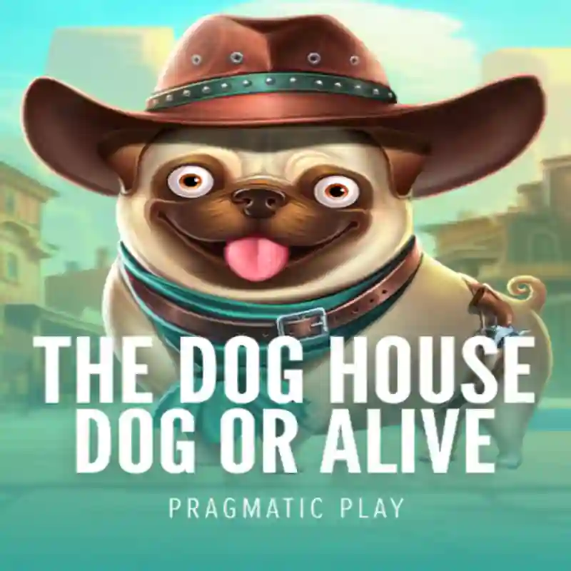 Dog House Dog & Alive slot game at funn88 casino